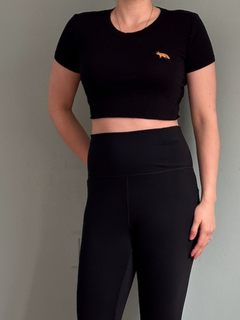 Aritzia Sundays Best Black Cropped Top With Embroidered Fox (Size Small)